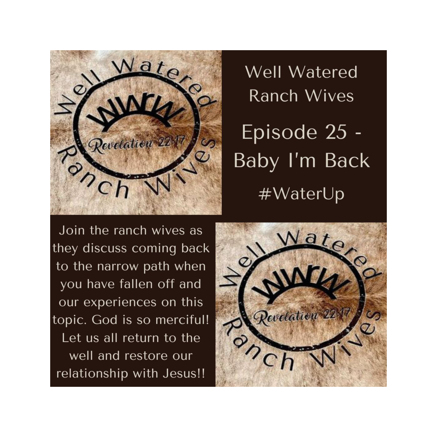 Episode 25 - Baby I'm Back
