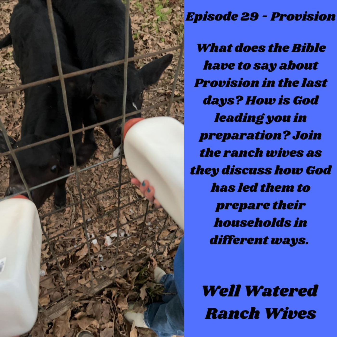 Episode 29 - Provision