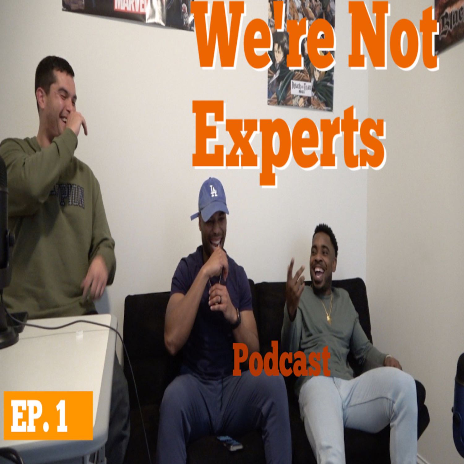 We\'re Not Experts Podcast