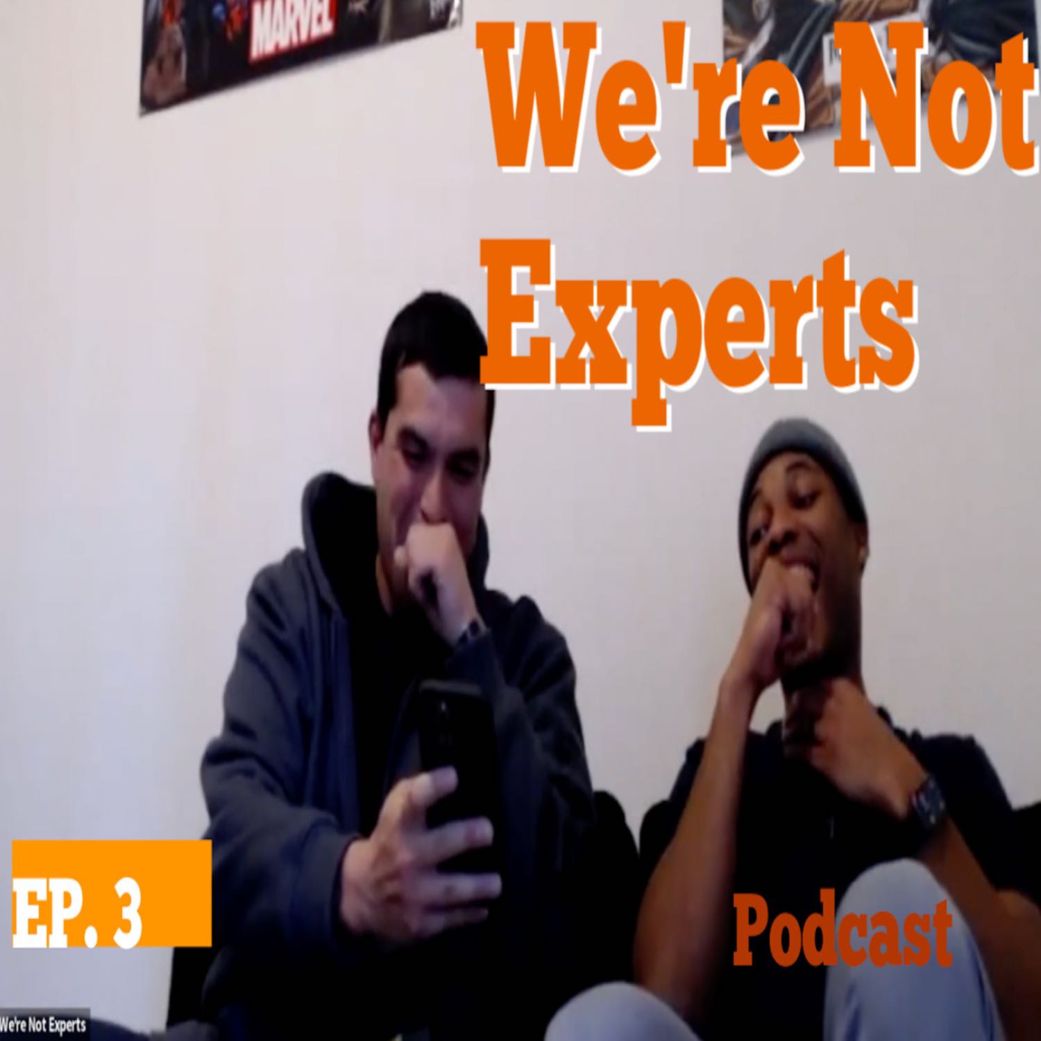 We\'re Not Experts Podcast