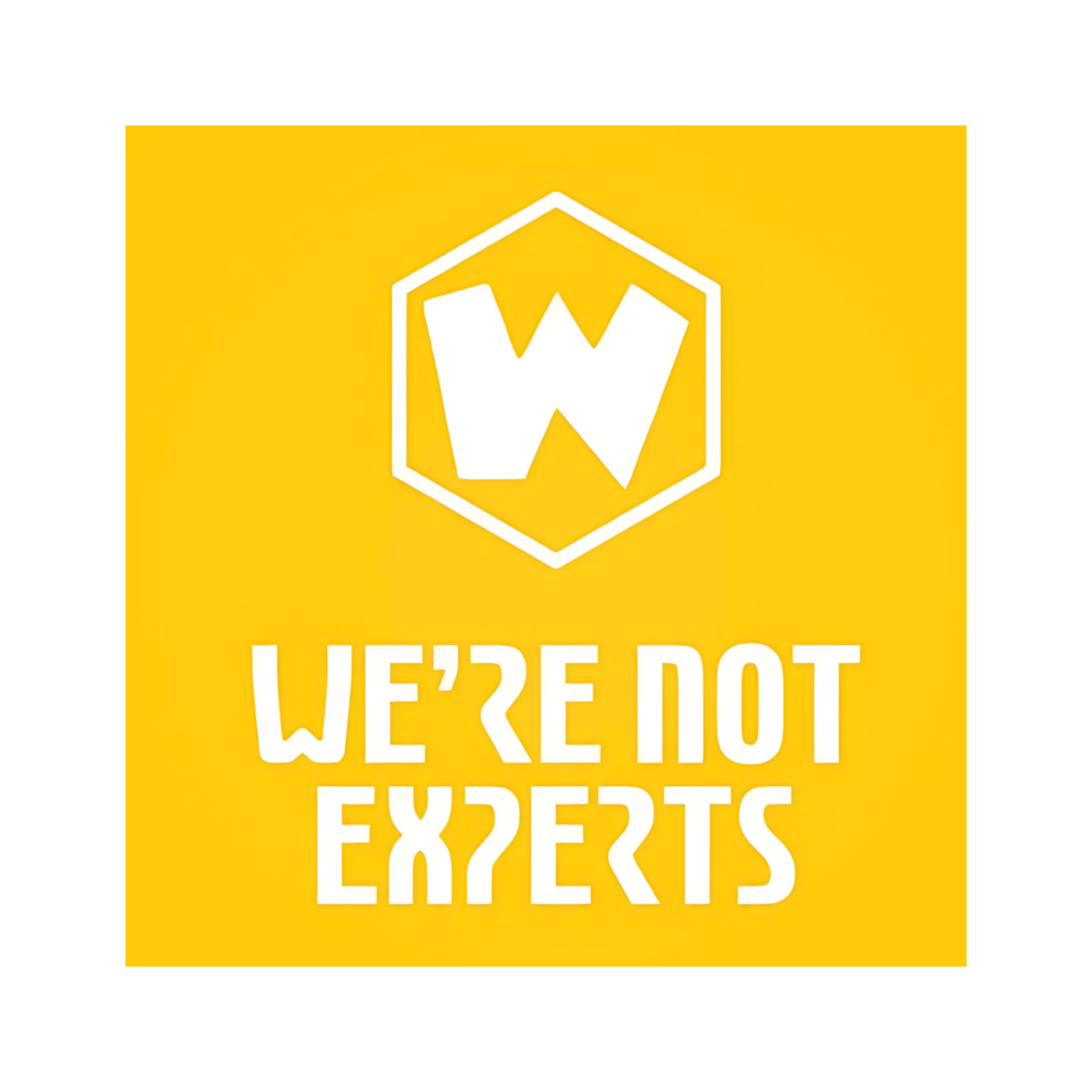 We\'re Not Experts Podcast