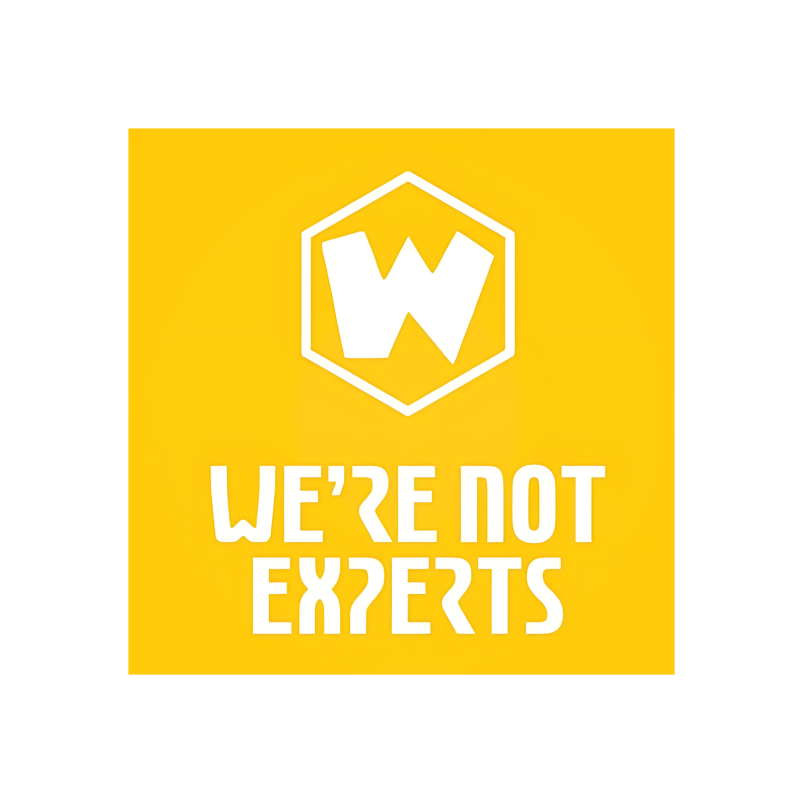 We\'re Not Experts Podcast