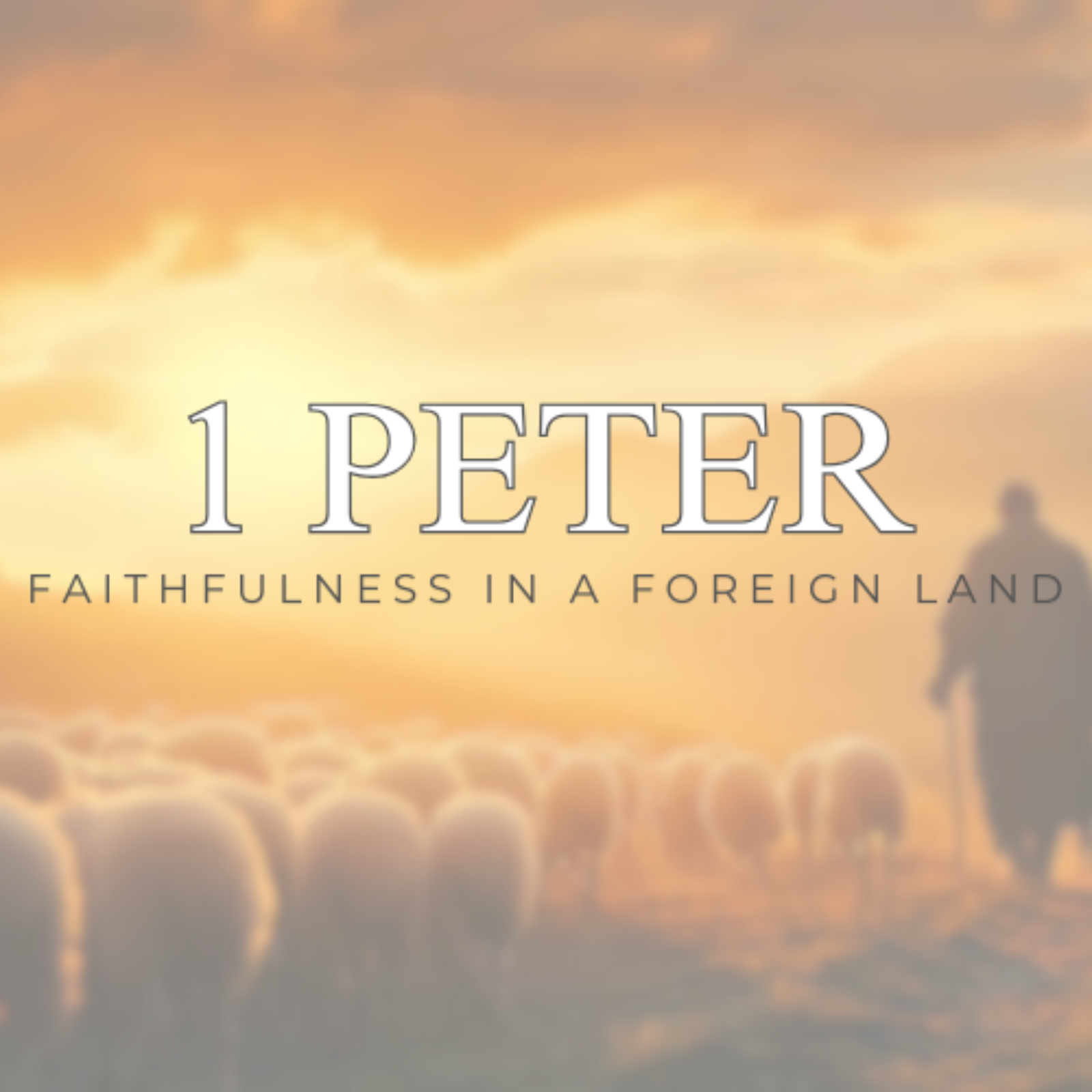 Not Surprised By Trial; Sustained By God episode artwork