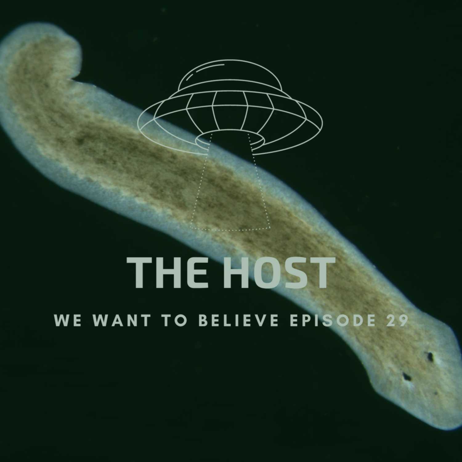 We Want To Believe