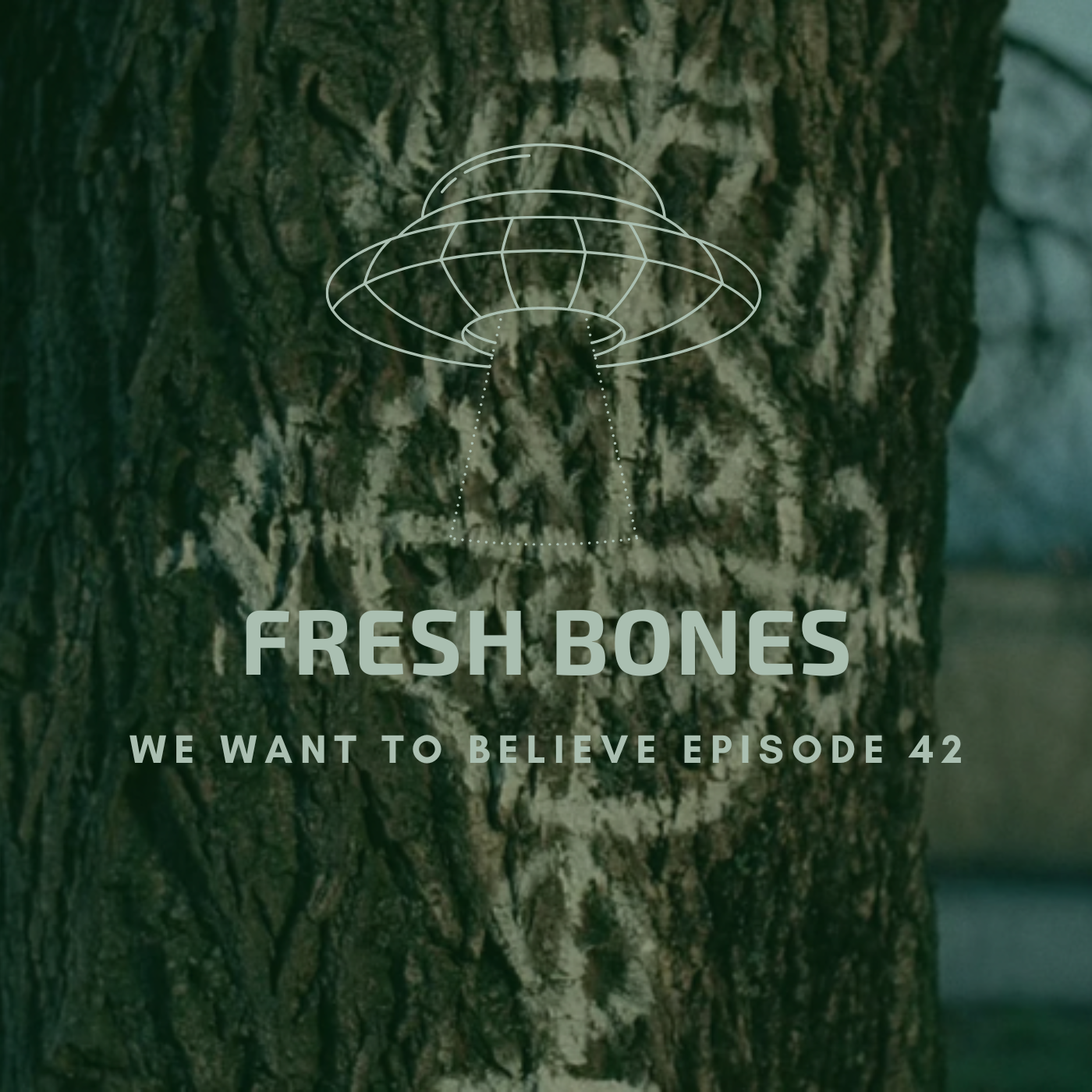We Want To Believe