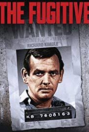 #134 The Fugitive episode artwork
