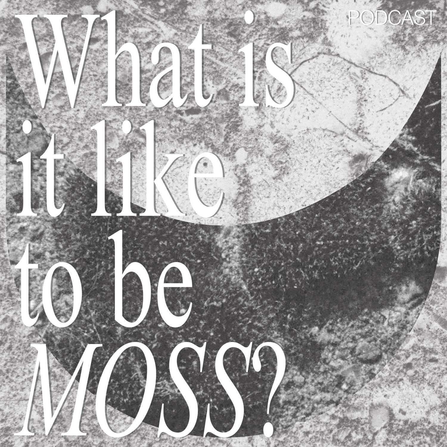 What is it like to be MOSS? – Trailer episode artwork