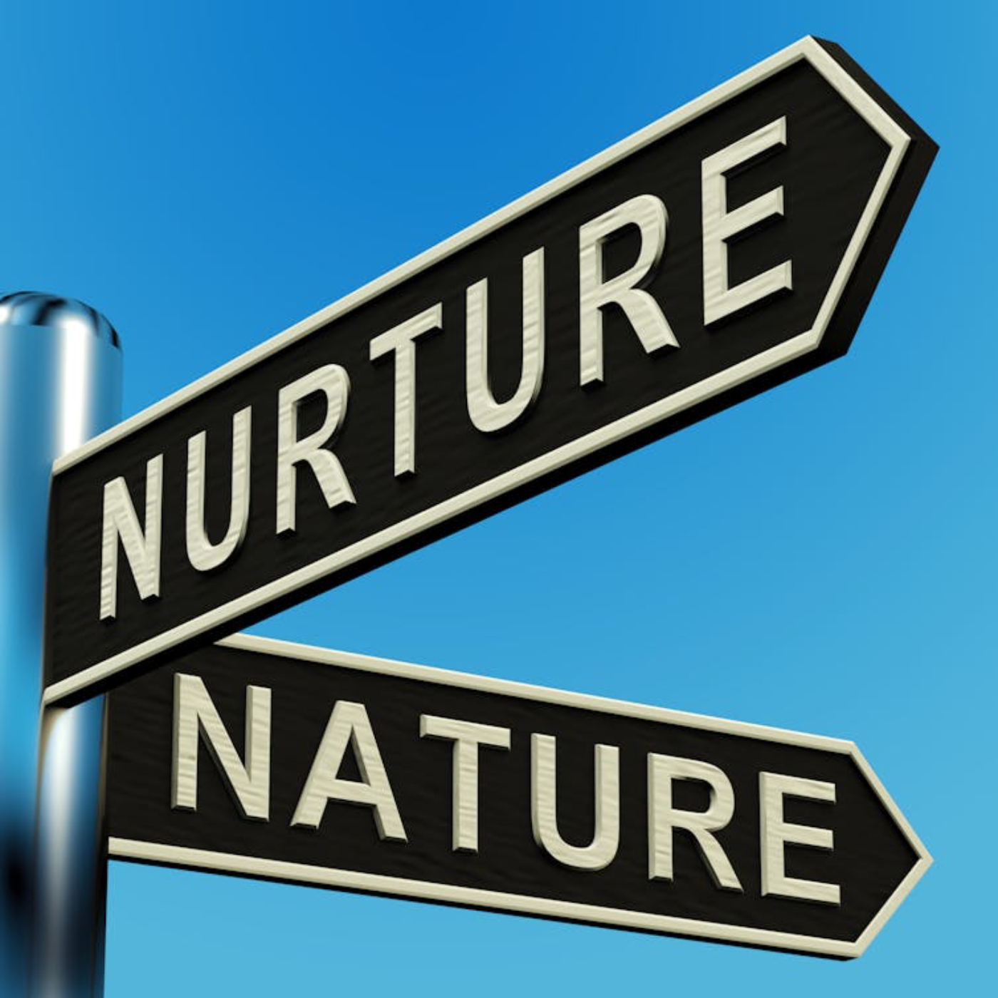 What is nature? And what is nurture?