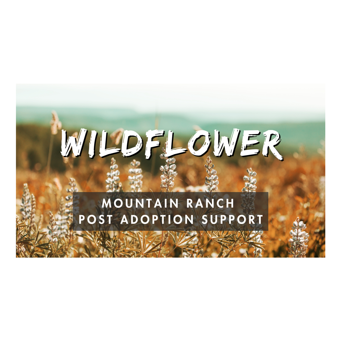 Wildflower Mountain Ranch - Post Adoption Suppor