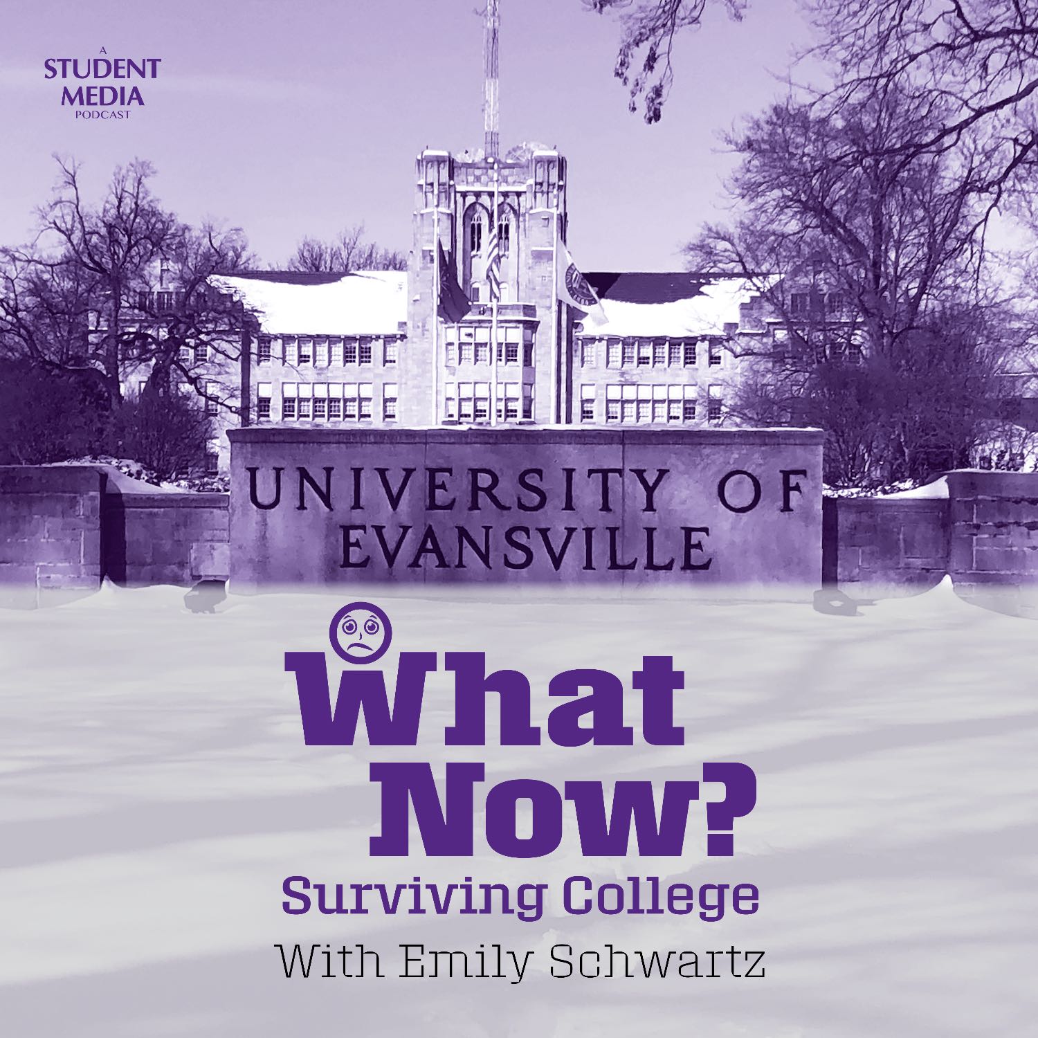 What Now? - Surviving College podcast artwork