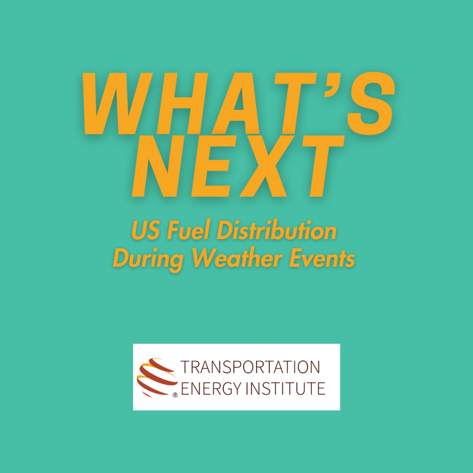 WHAT'S NEXT - US Fuel Distribution During Weather Events episode artwork