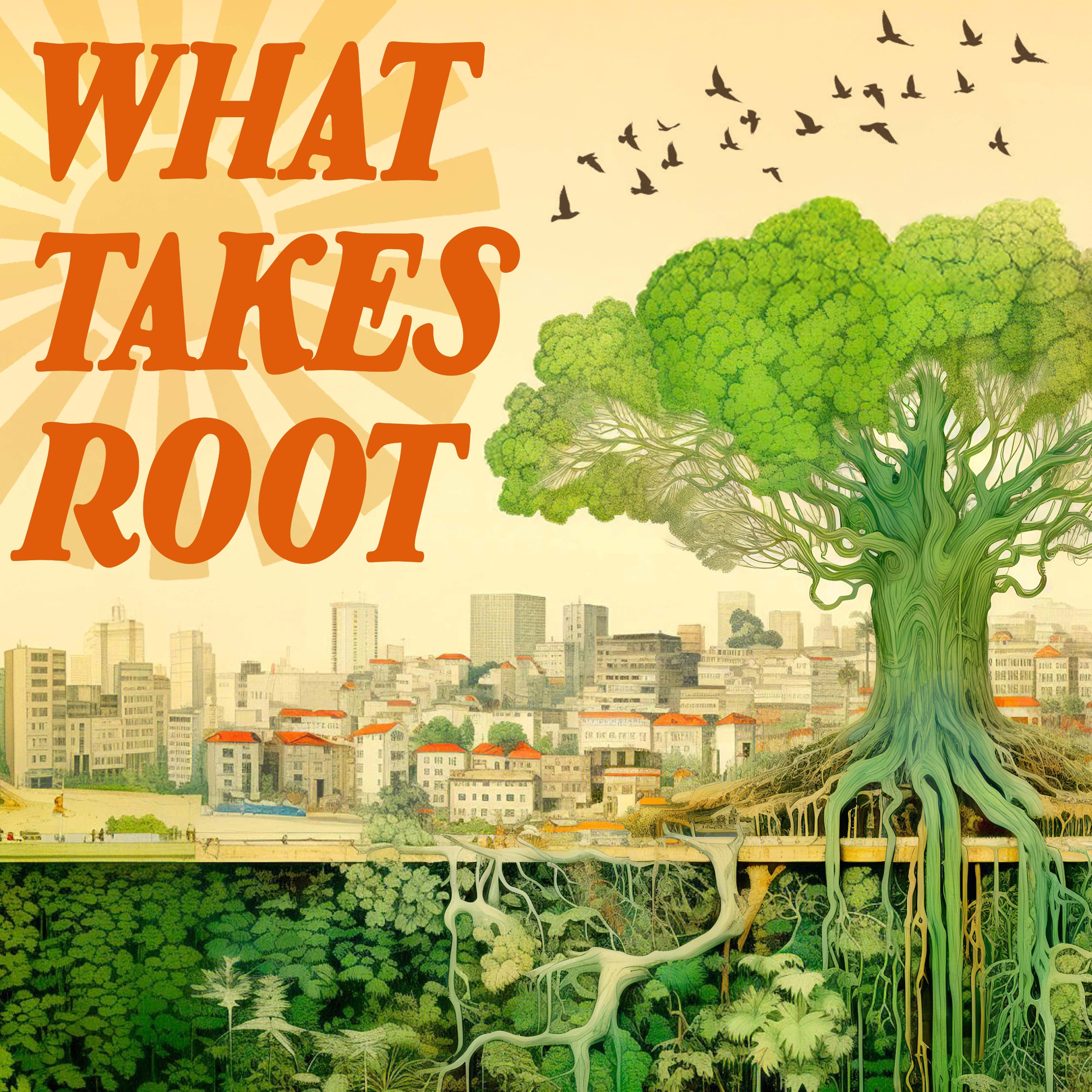 What Takes Root: Stories of Resistance and Reclamation cover art