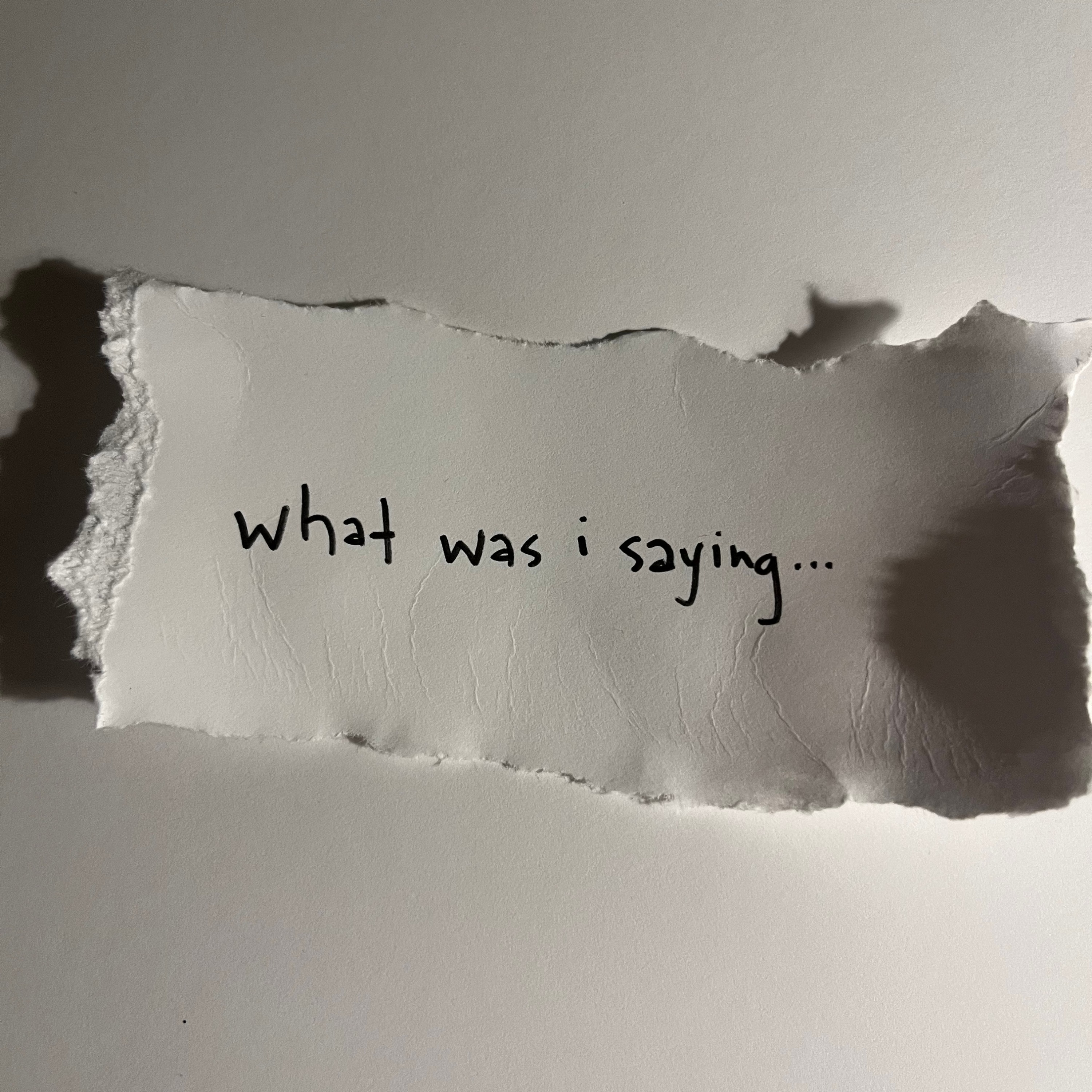 What Was I Saying... (about)