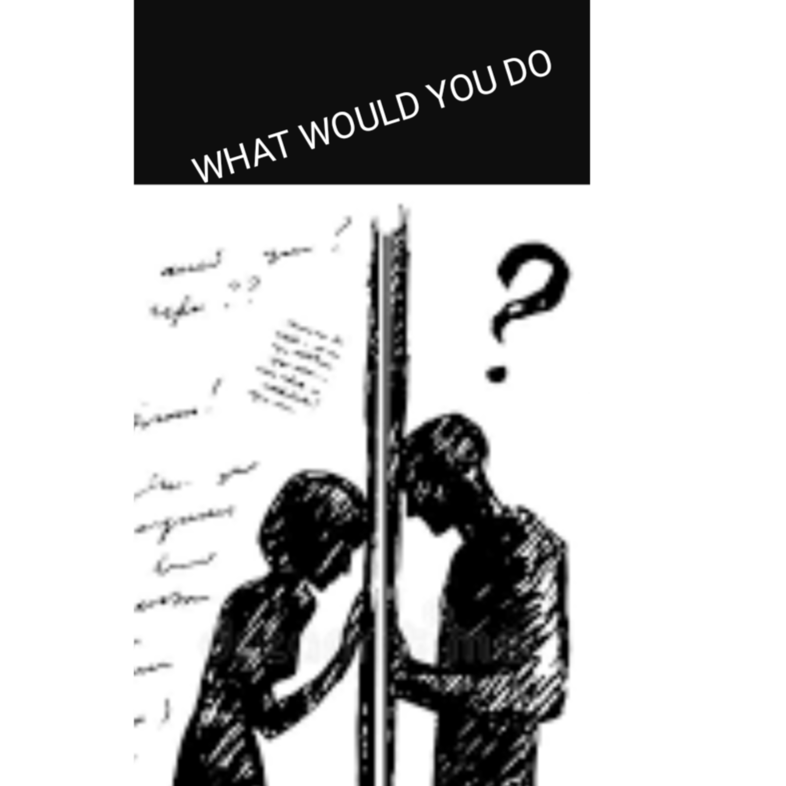 What would you do