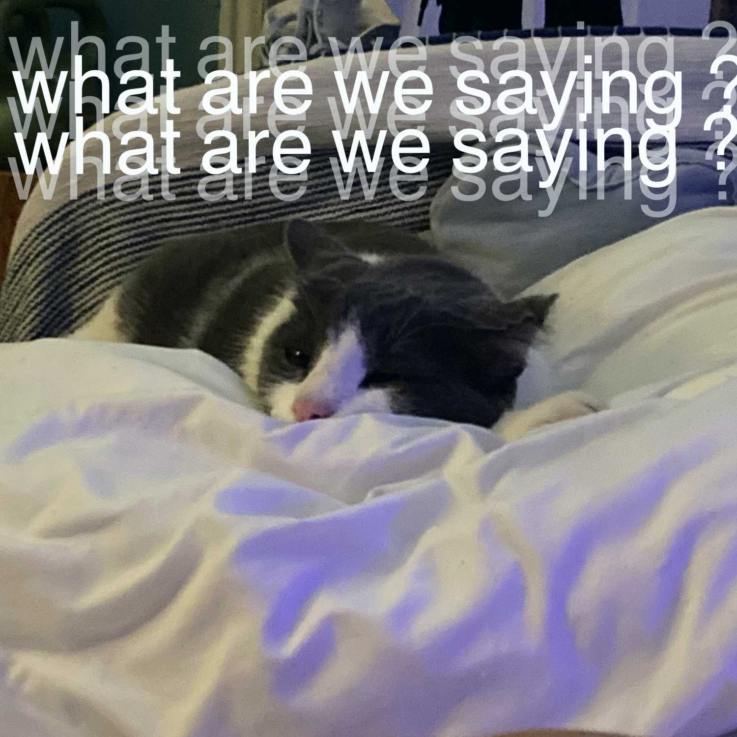 what are we saying? cover art