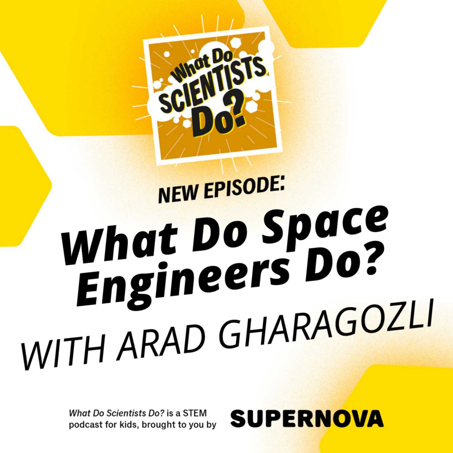 What Do Scientists Do?