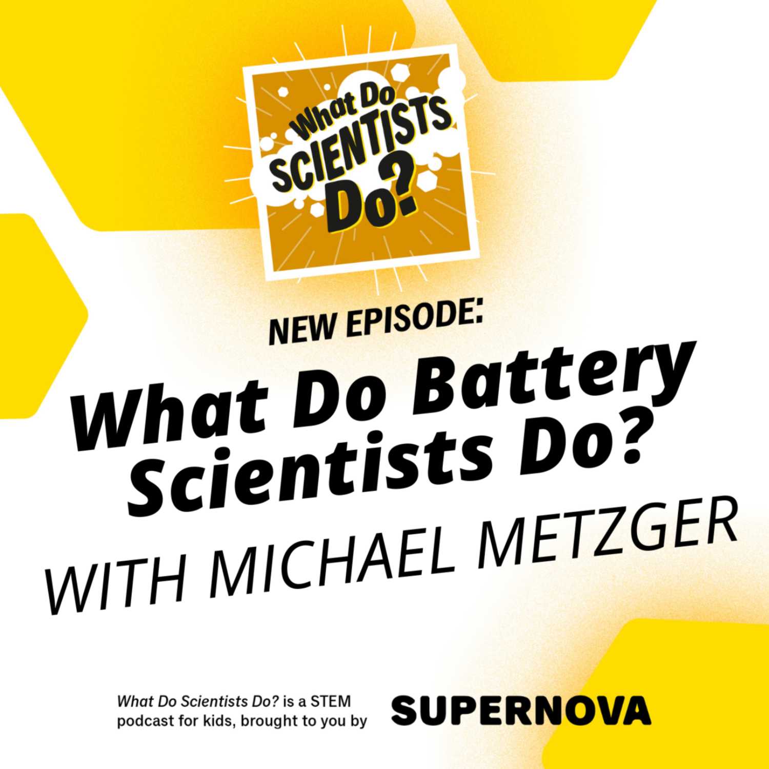 What Do Scientists Do?