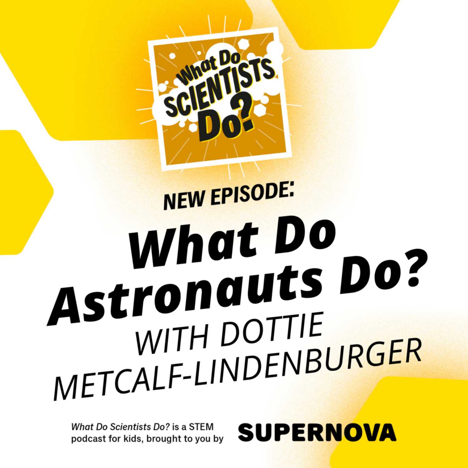 What Do Scientists Do?
