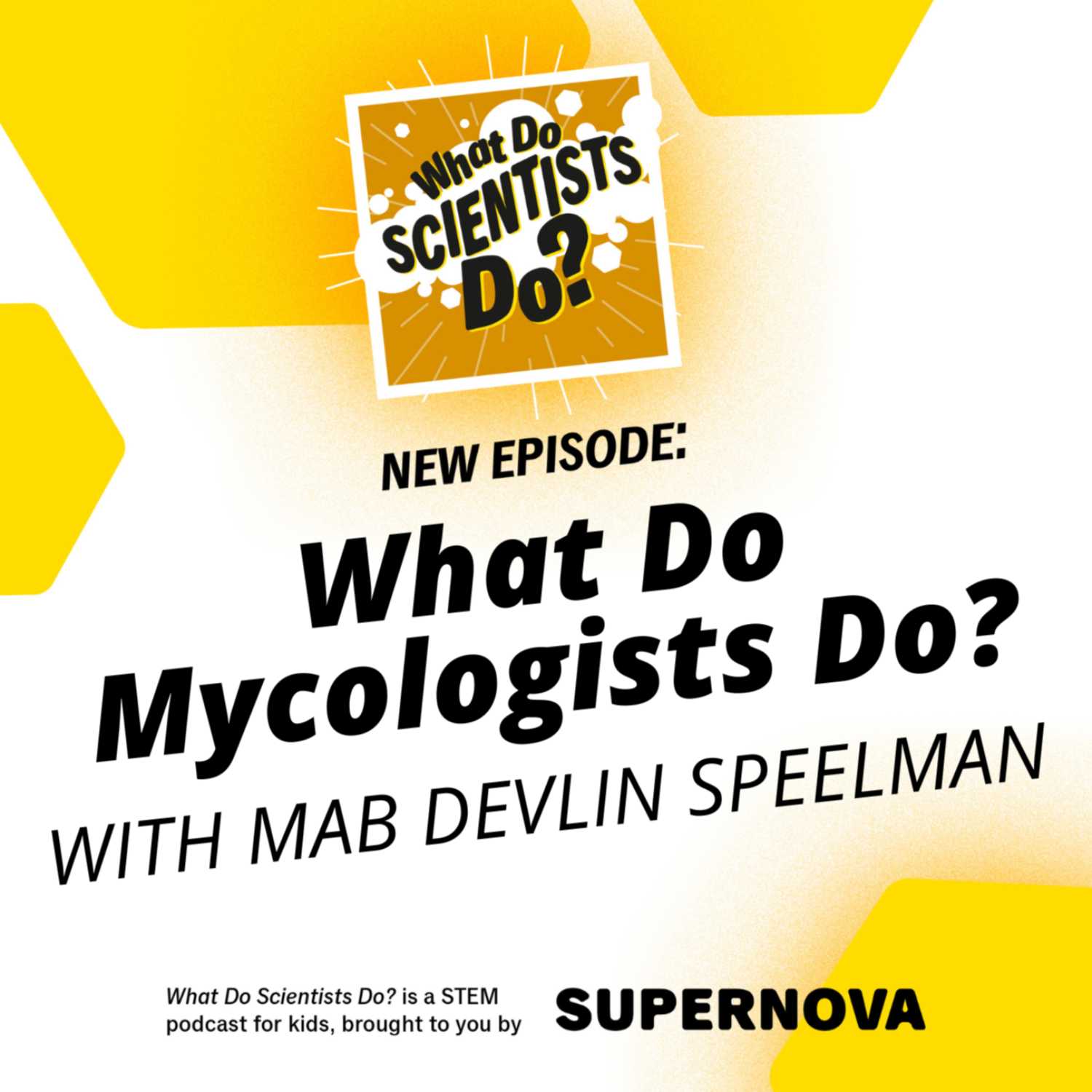 What Do Scientists Do?