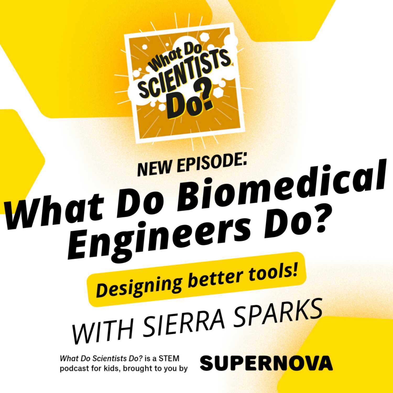 What Do Scientists Do?