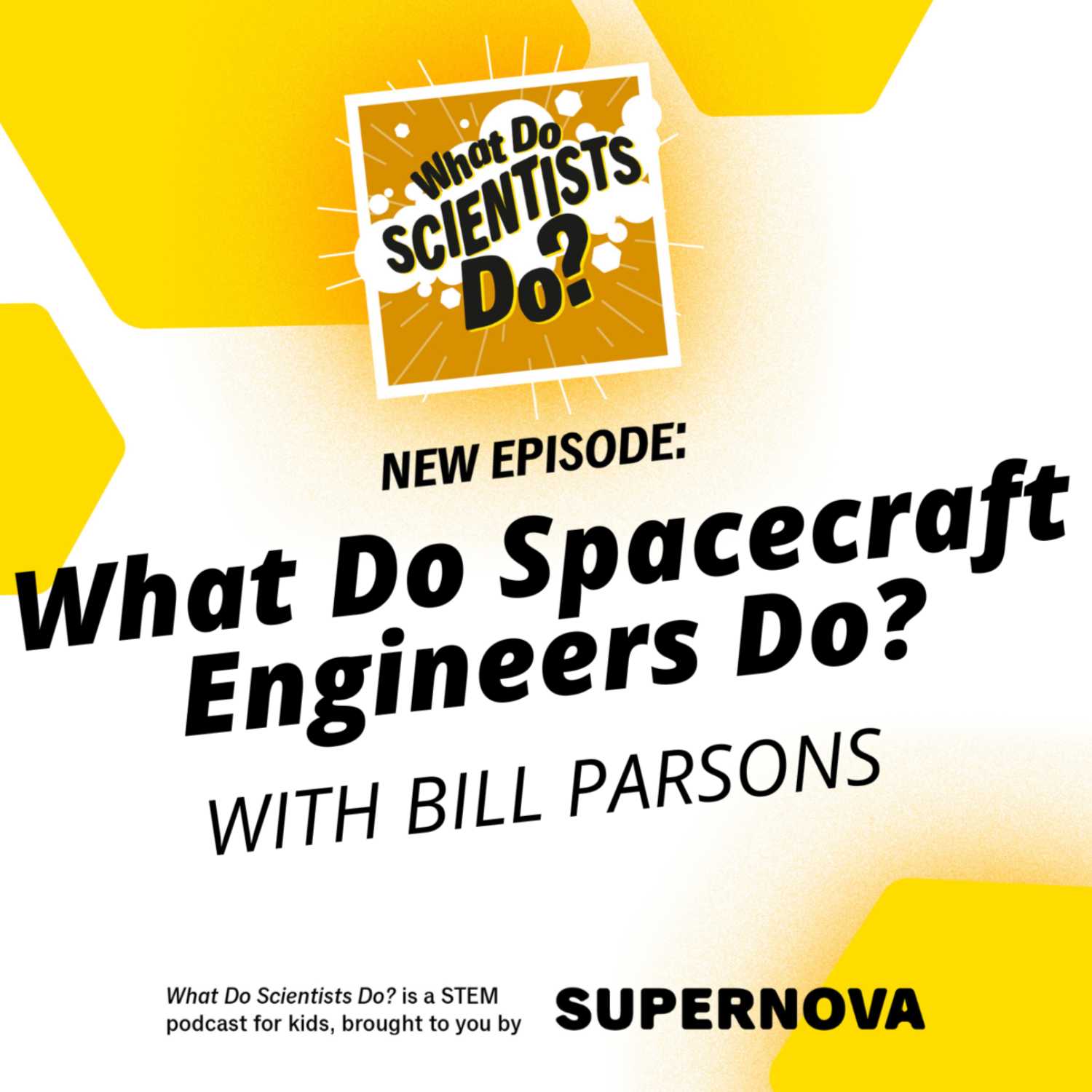 What Do Scientists Do?