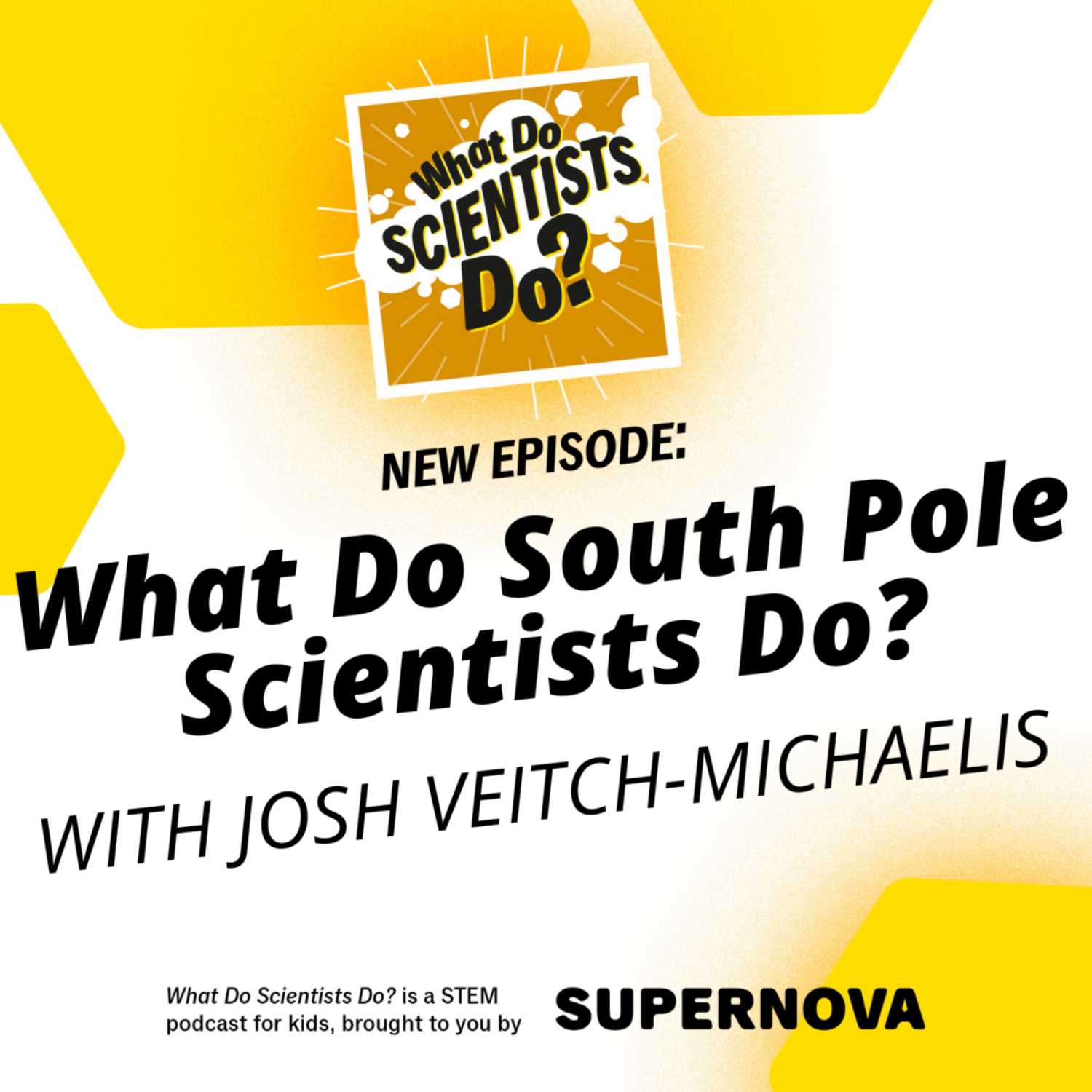 What Do Scientists Do?