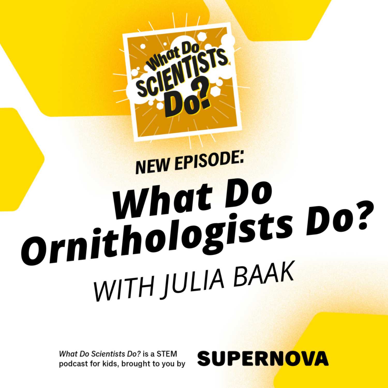 What Do Ornithologists Do? with Julia Baak