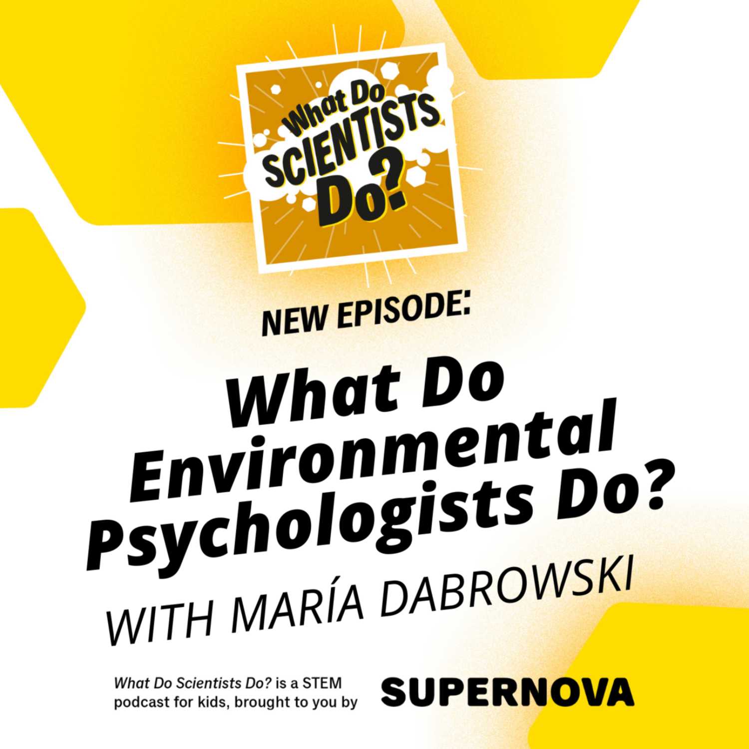 What Do Scientists Do?