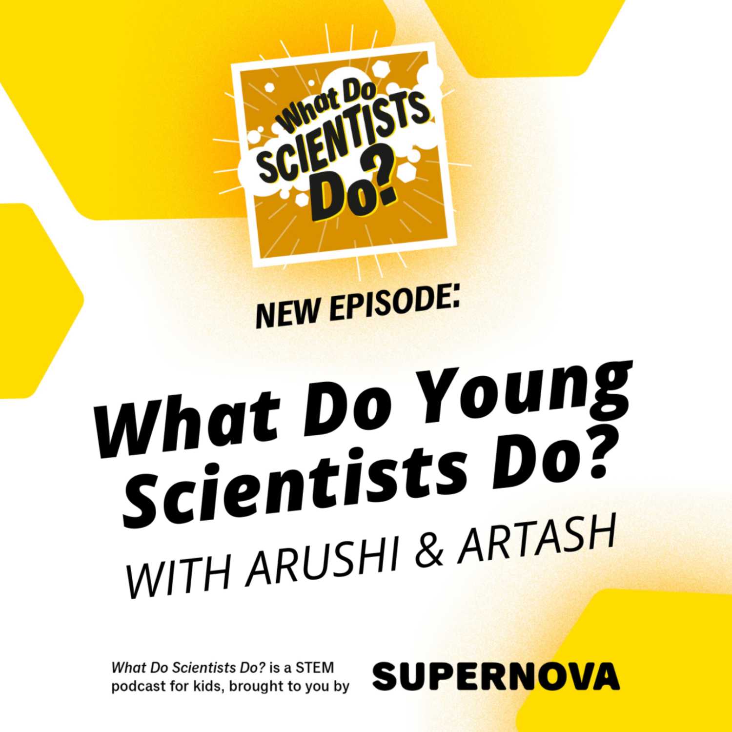 What Do Scientists Do?