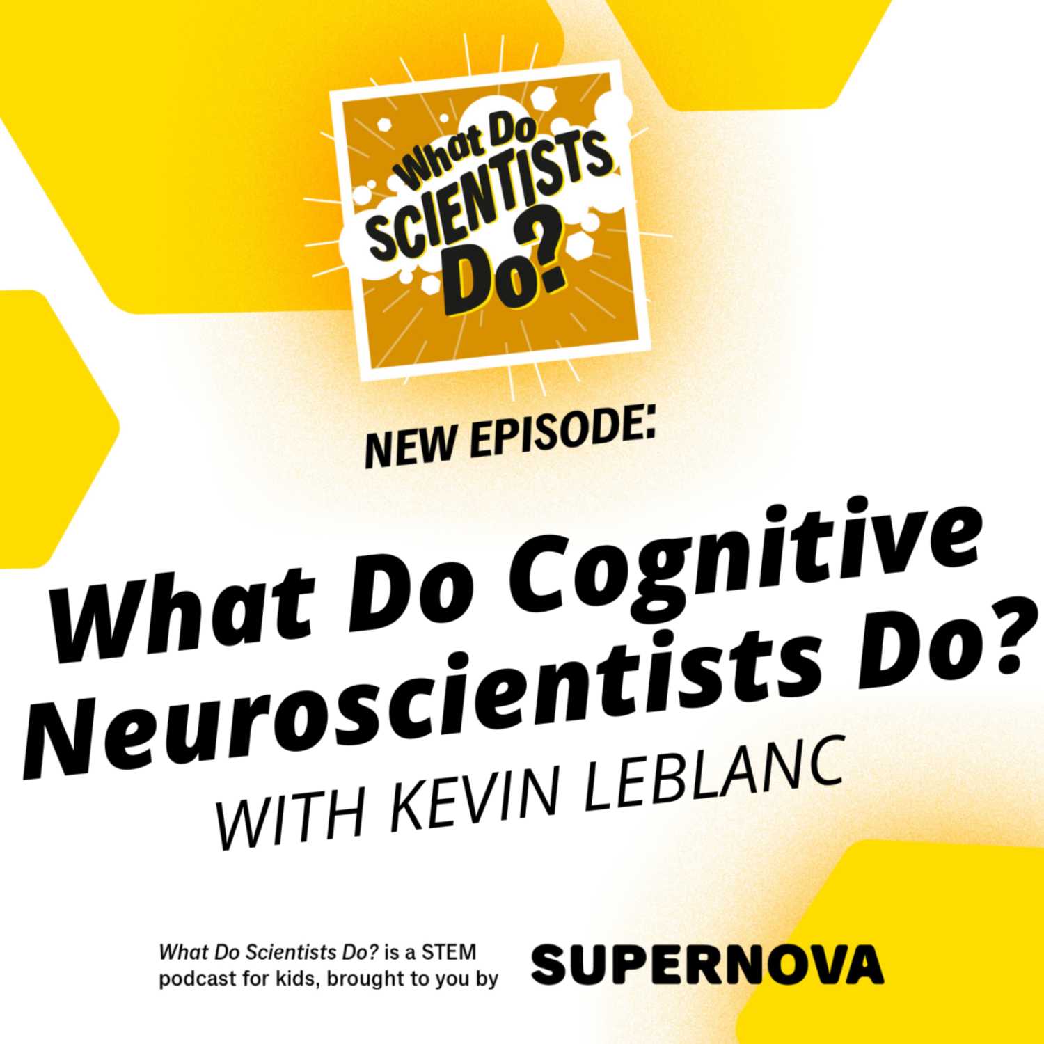 What Do Scientists Do?