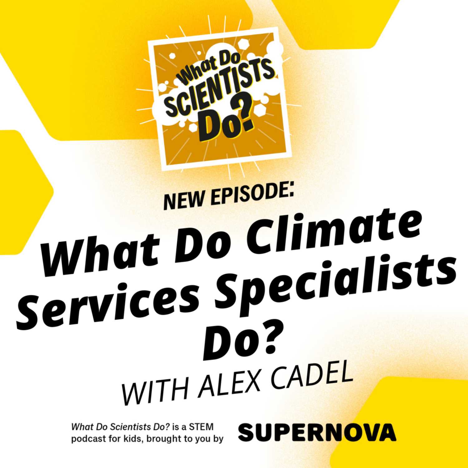 What Do Scientists Do?