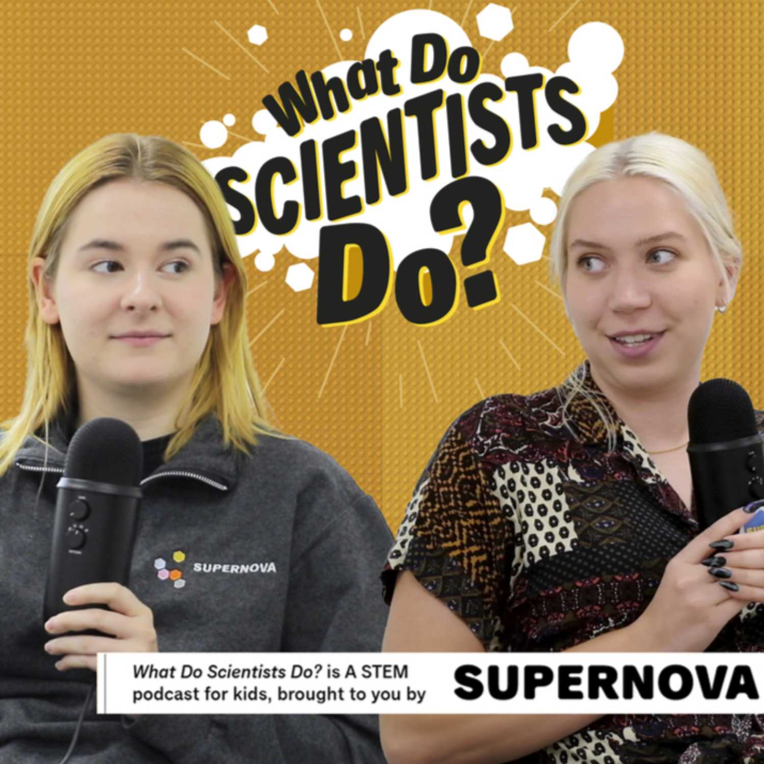 What Do Scientists Do?