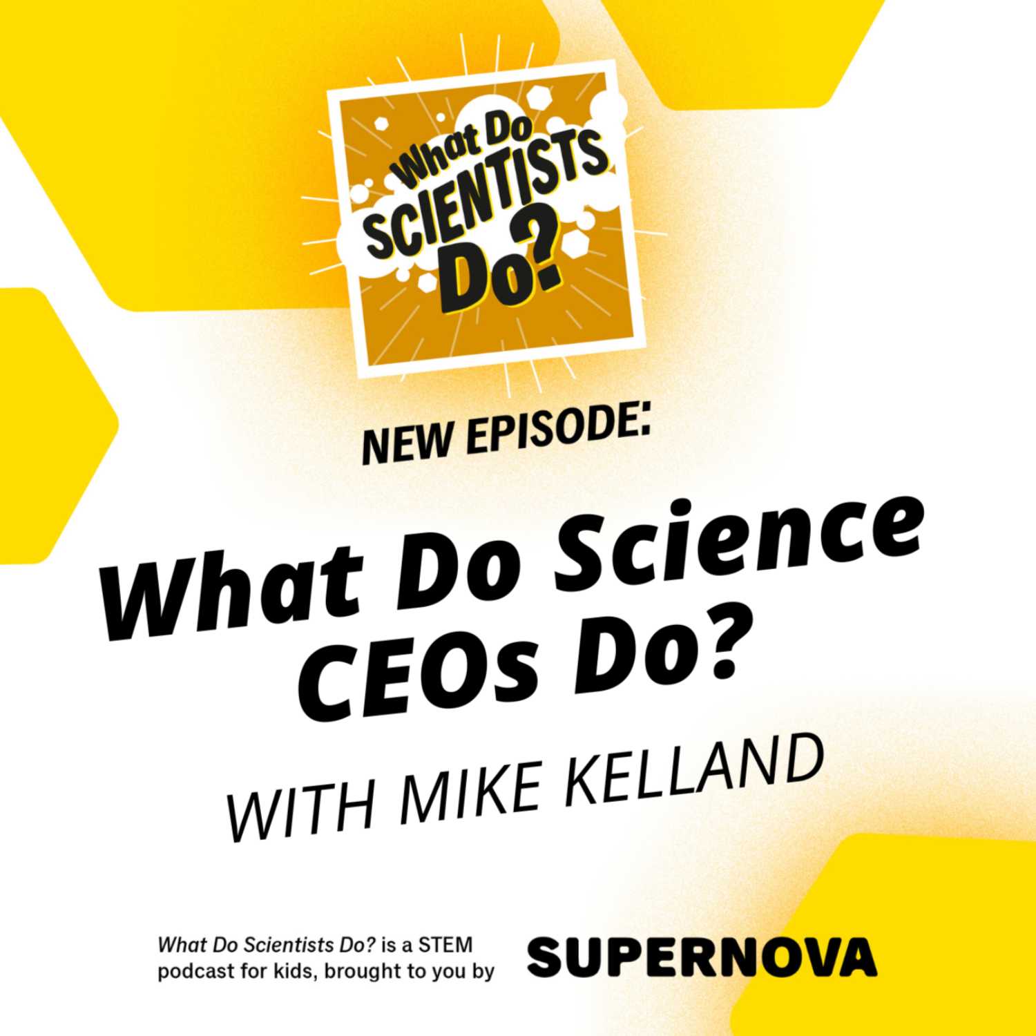 What Do Scientists Do?