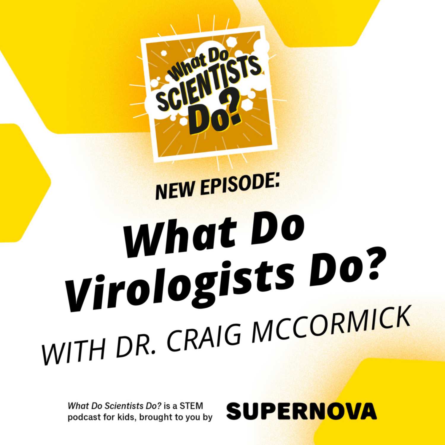 What Do Scientists Do?