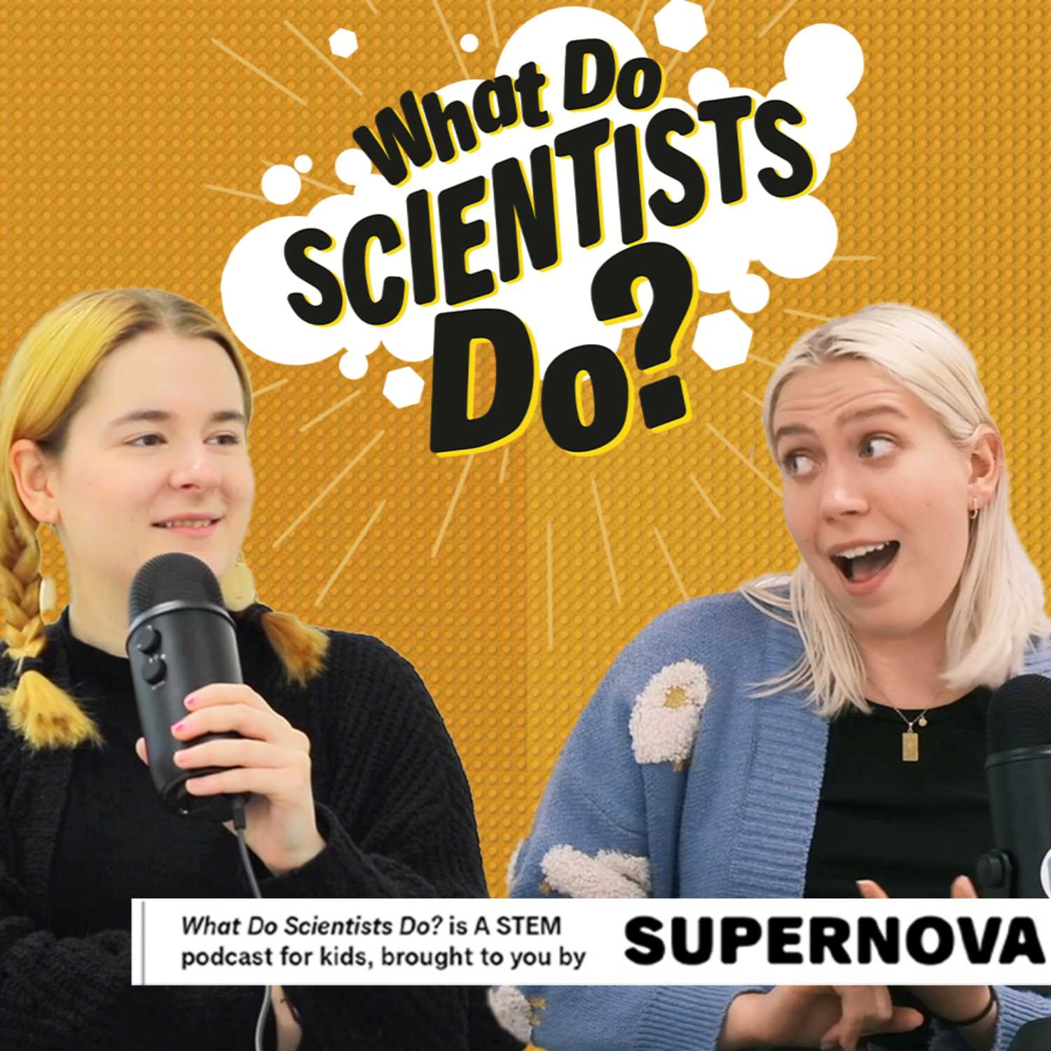 What Do Scientists Do?
