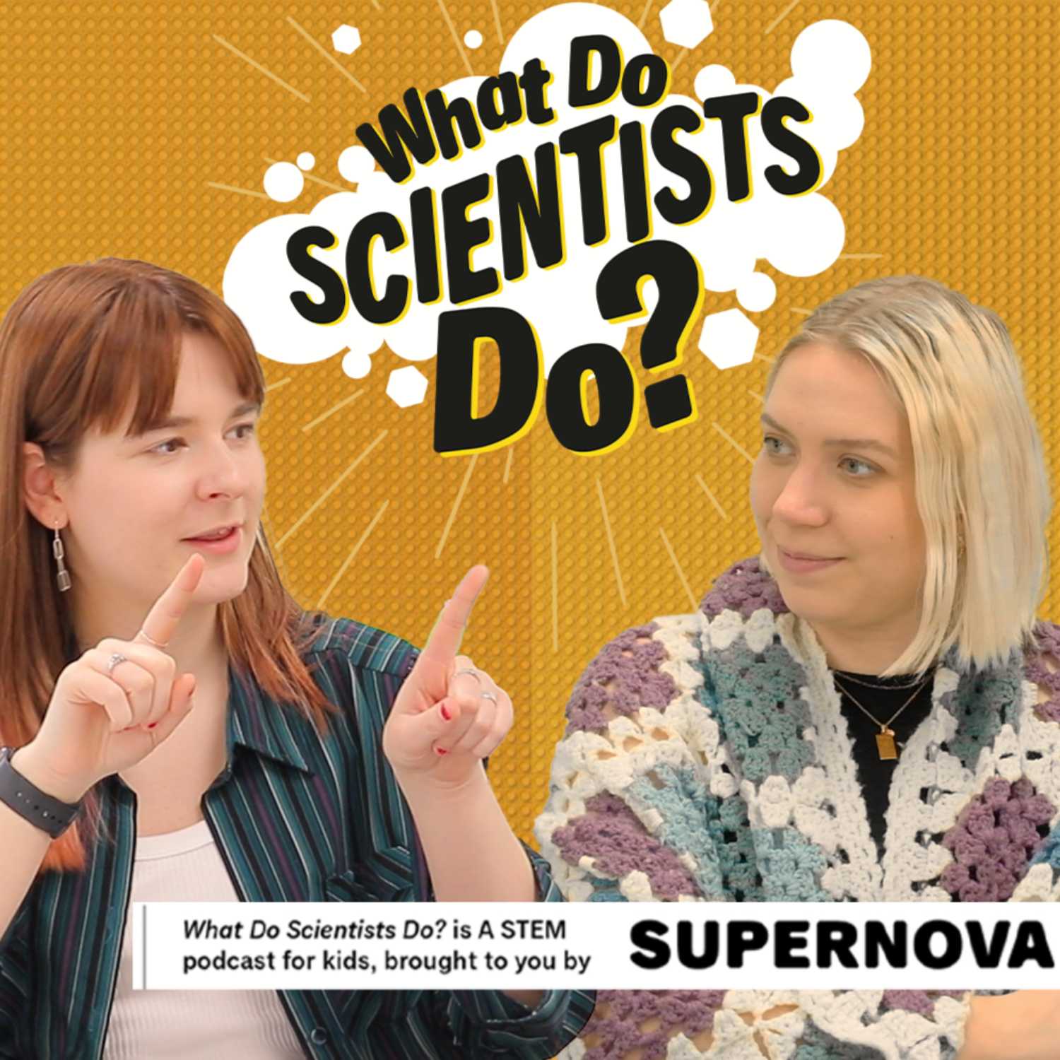 What Do Scientists Do?