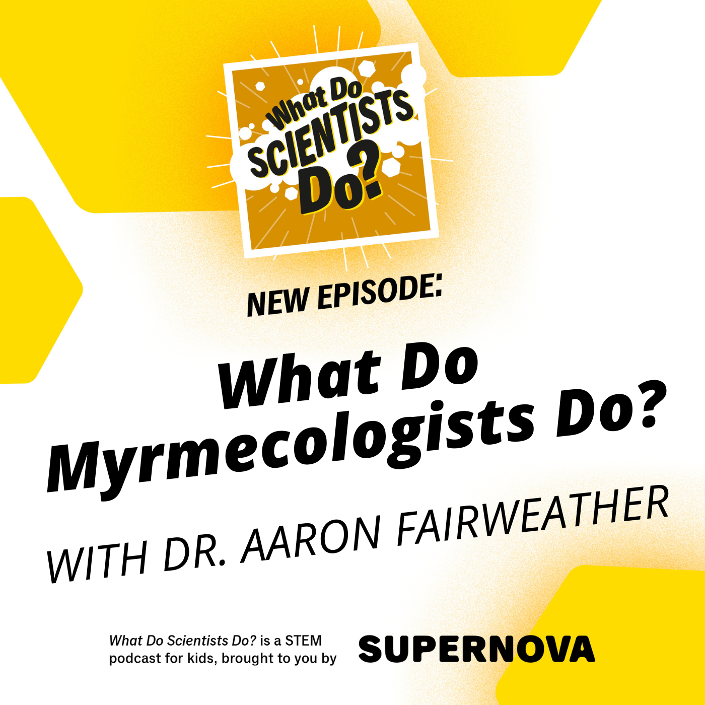What Do Scientists Do?