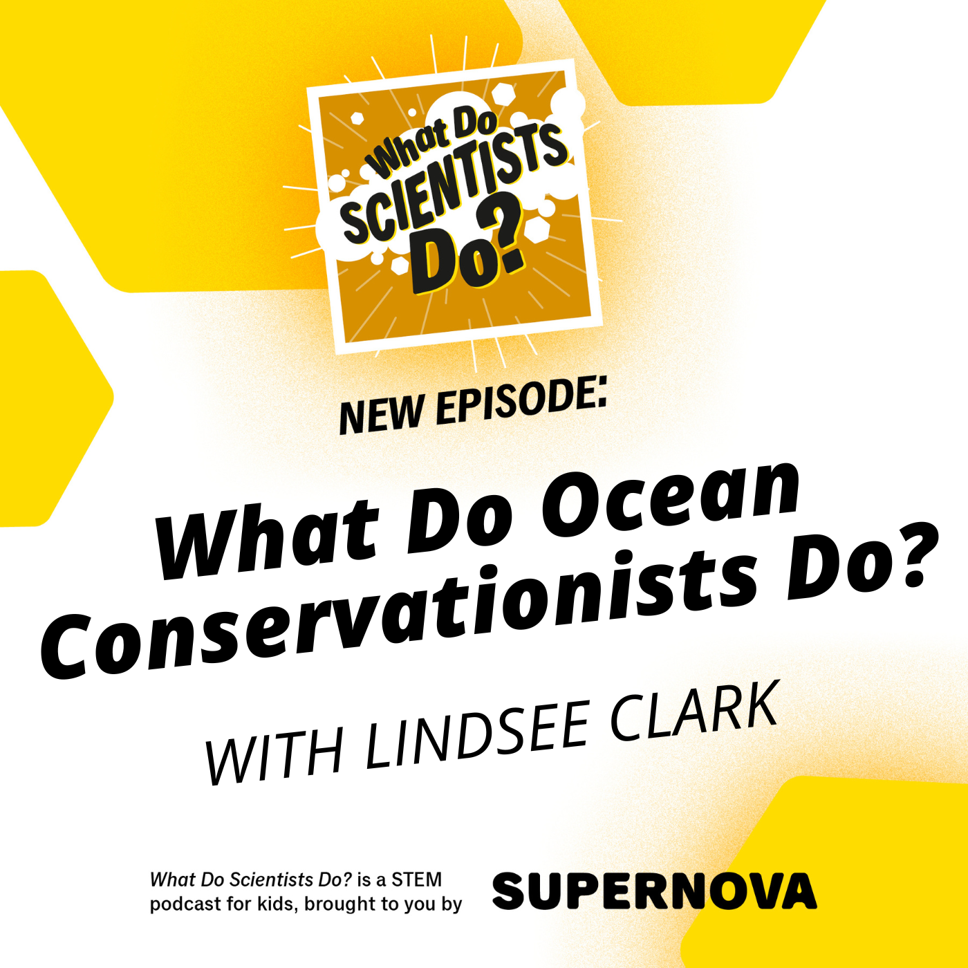 What Do Scientists Do?