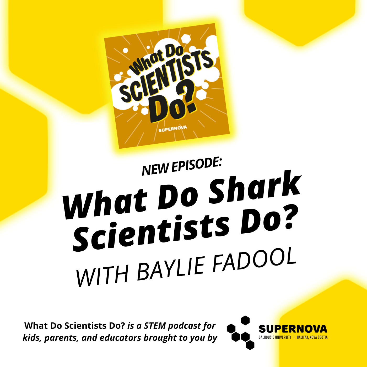 What Do Scientists Do?
