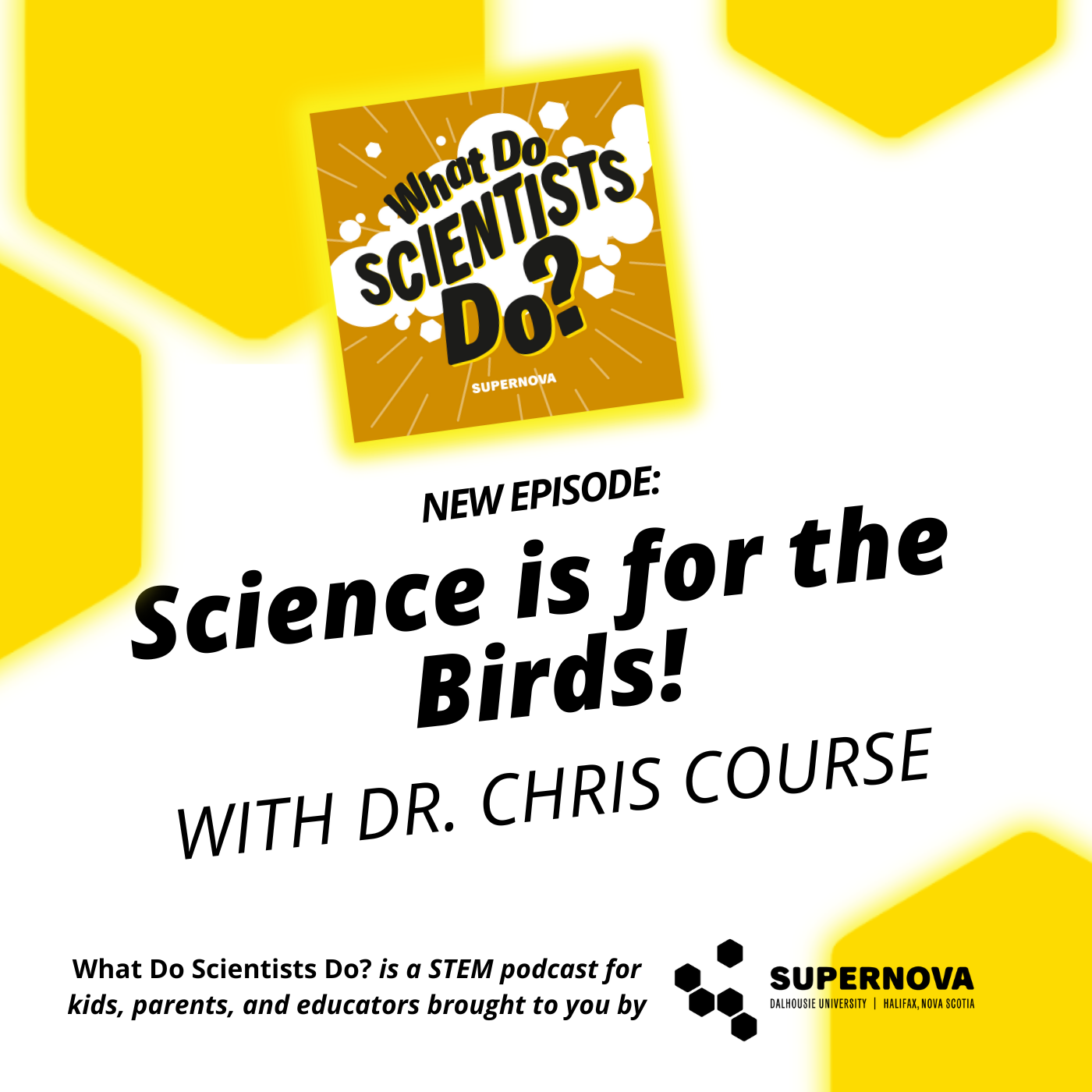 What Do Scientists Do?