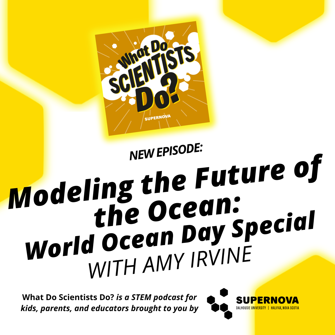 What Do Scientists Do?