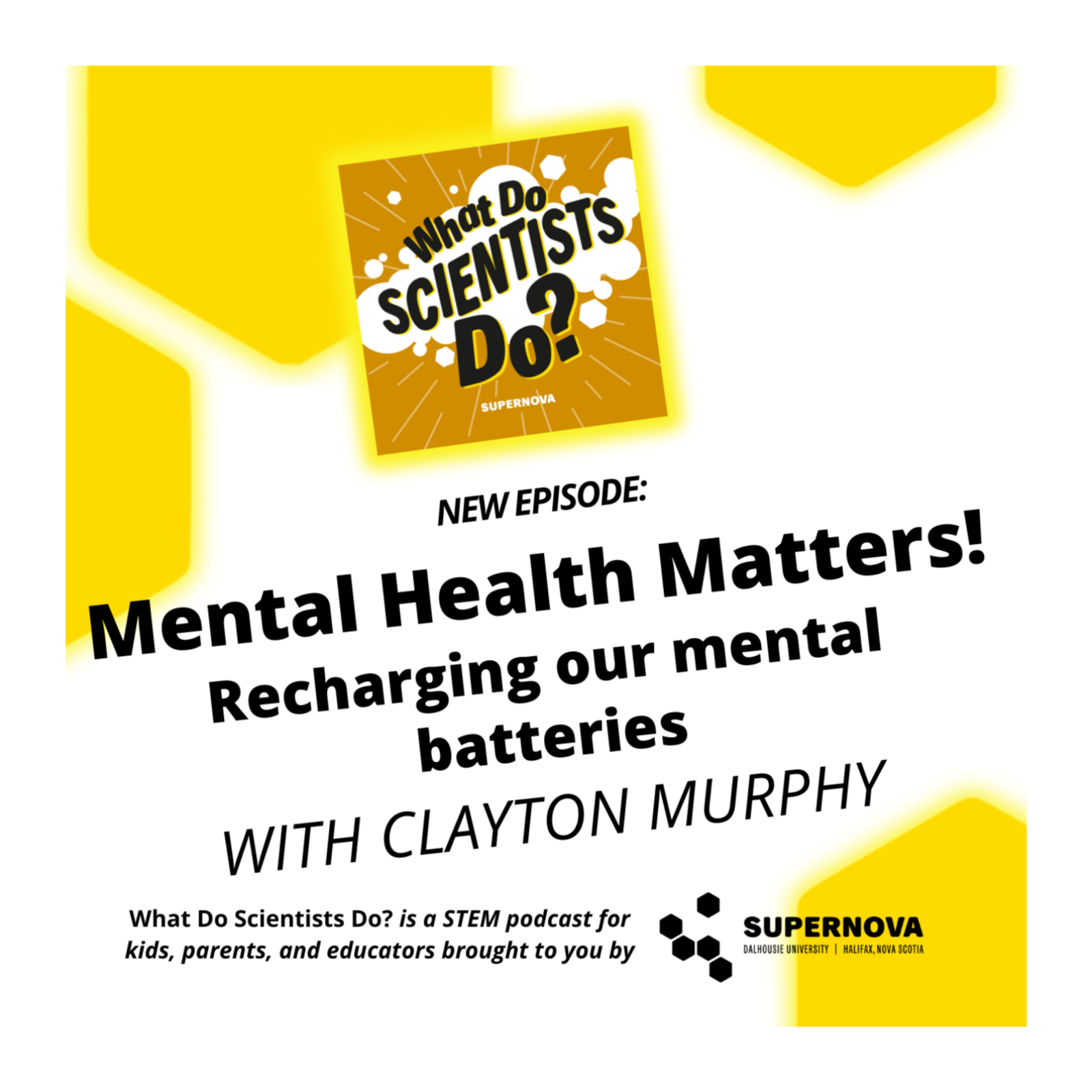 What Do Scientists Do?