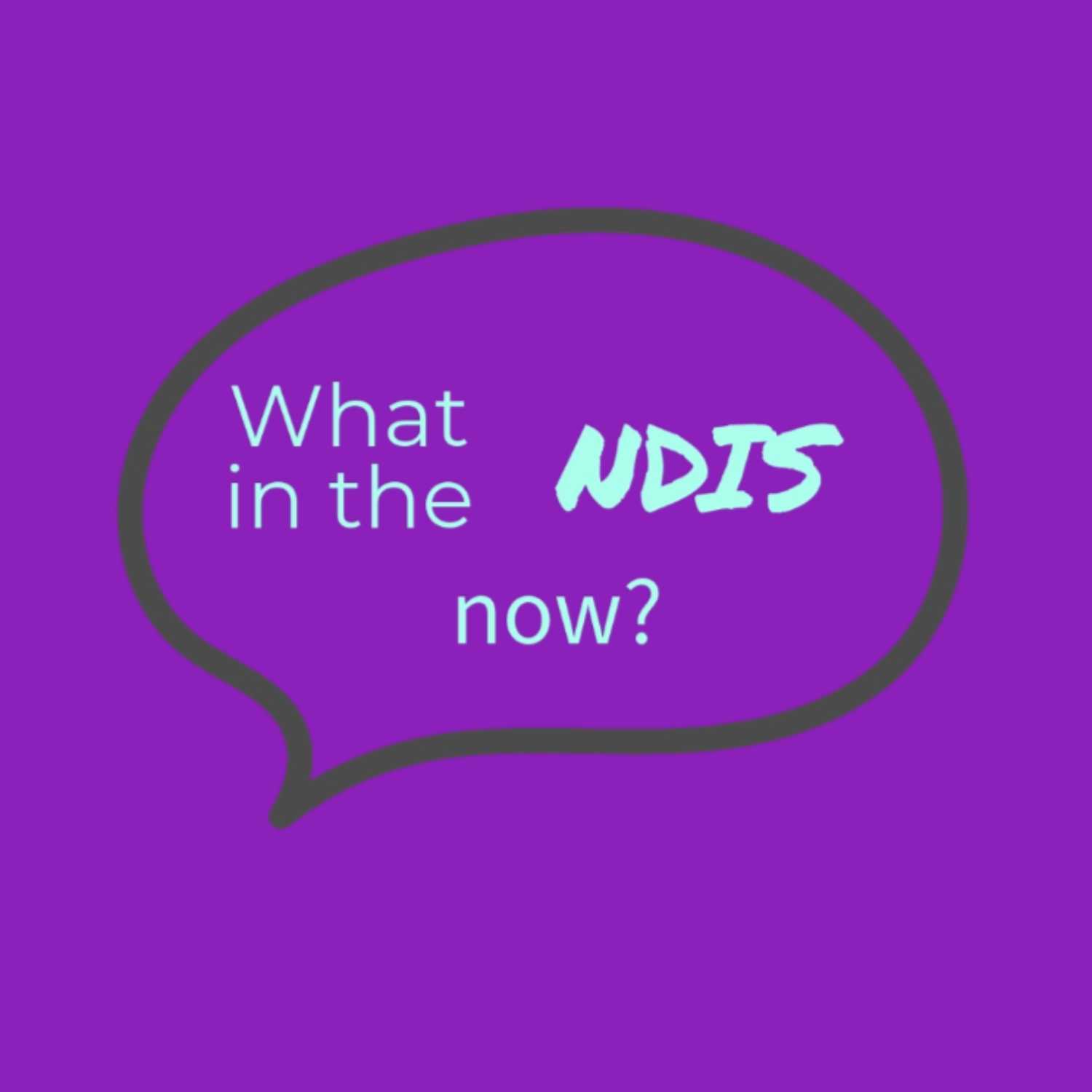What in the NDIS now?
