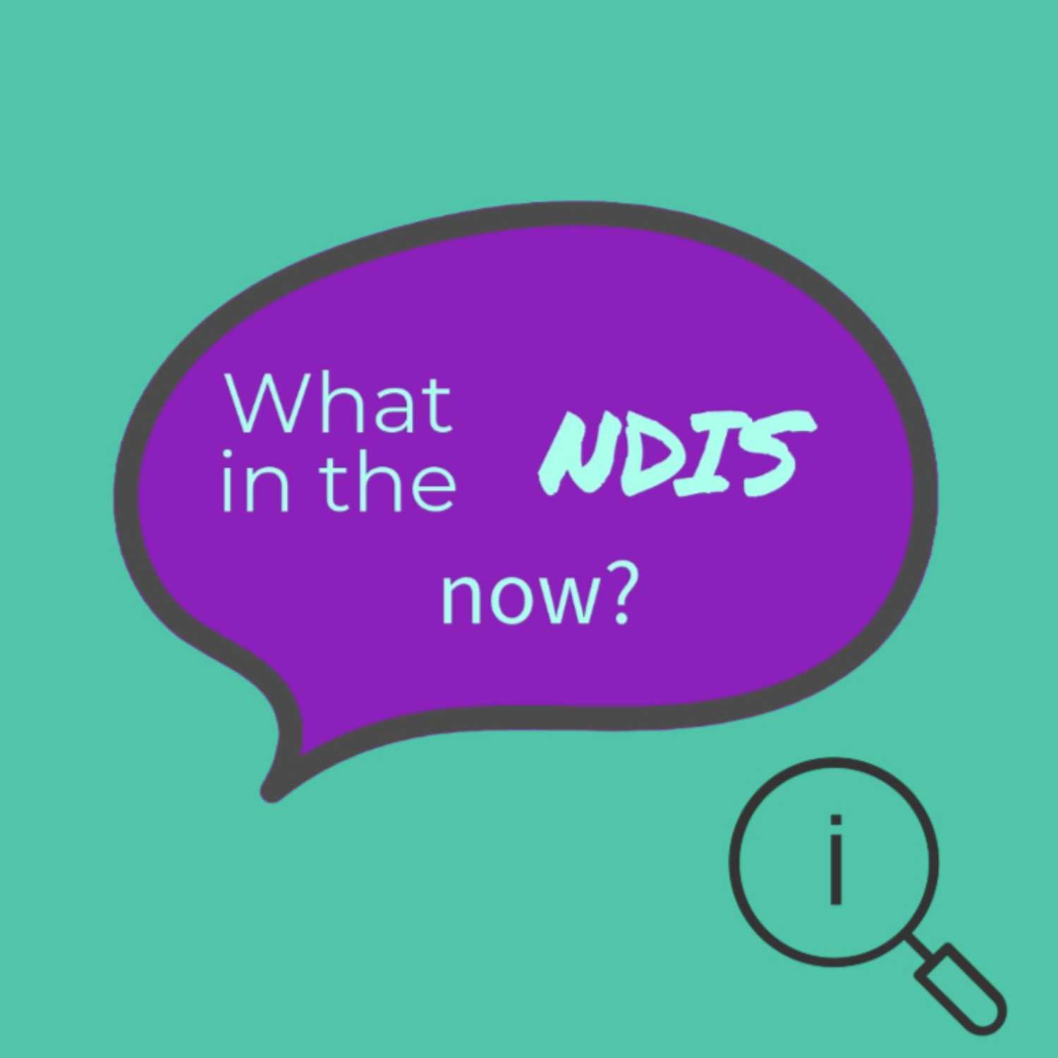 What in the NDIS now?