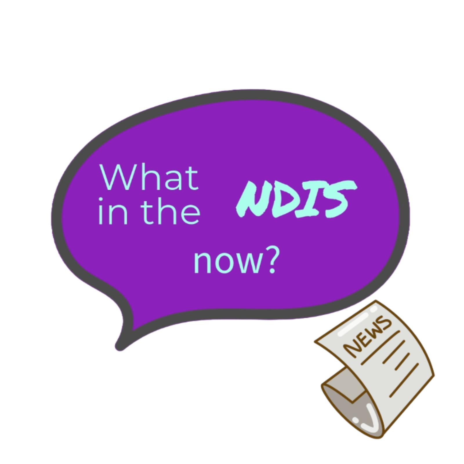 What in the NDIS now?