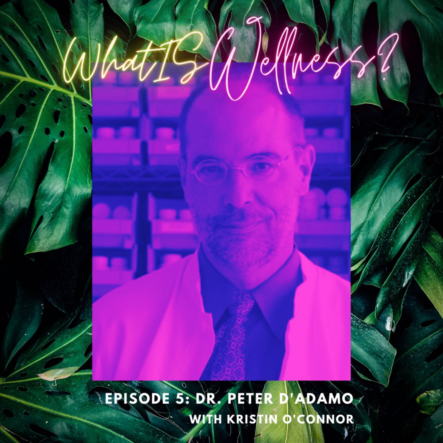 What IS Wellness