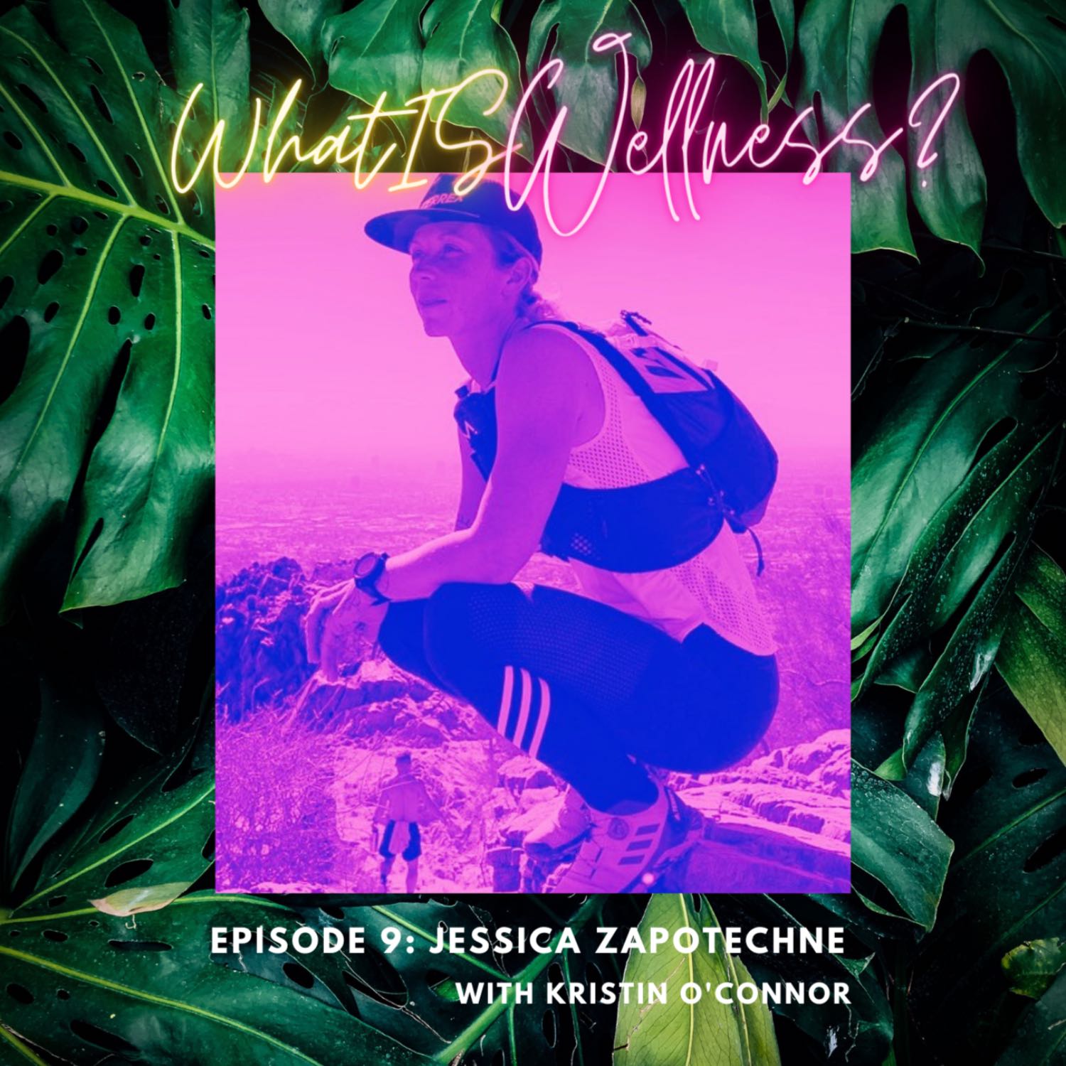 What IS Wellness