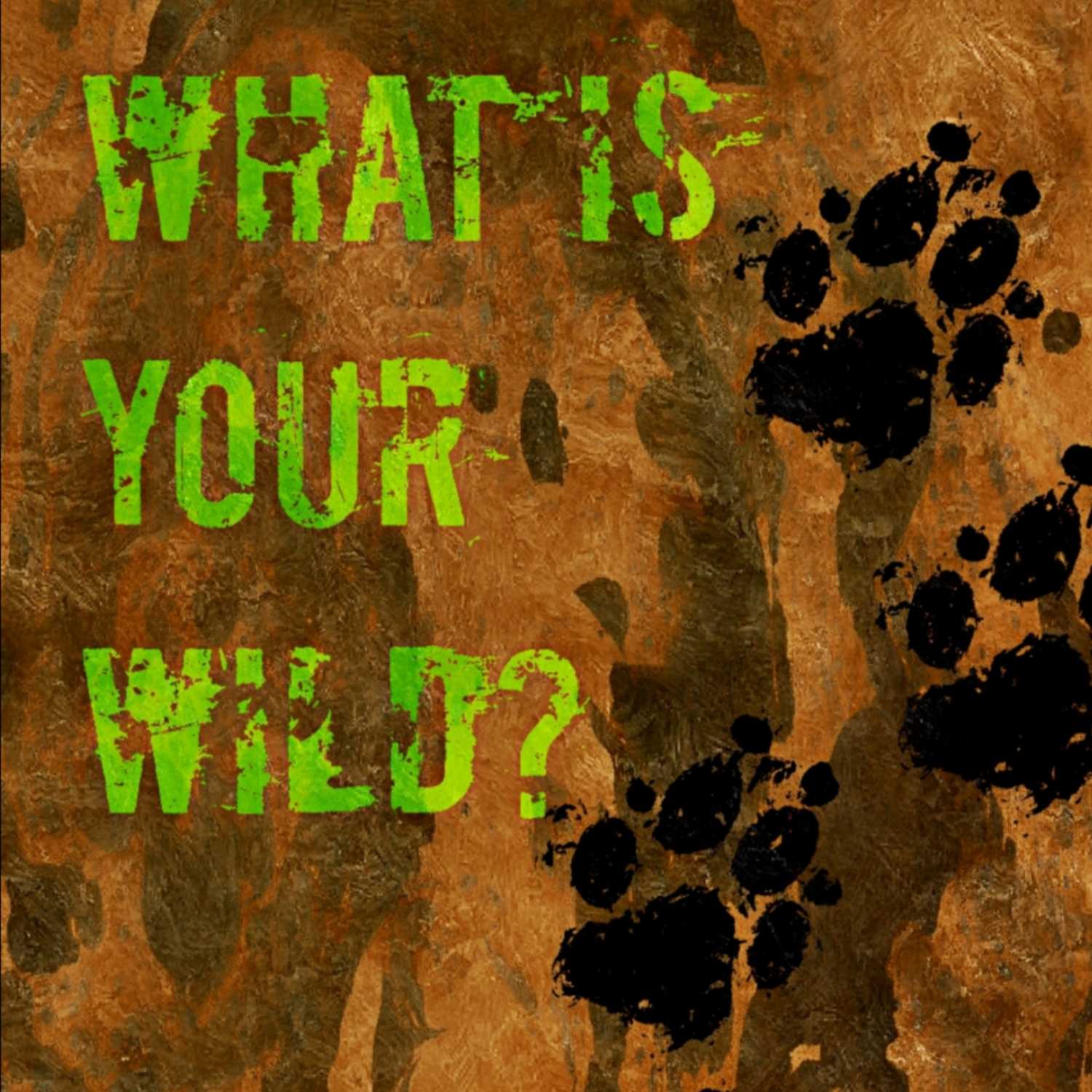 What is your wild?