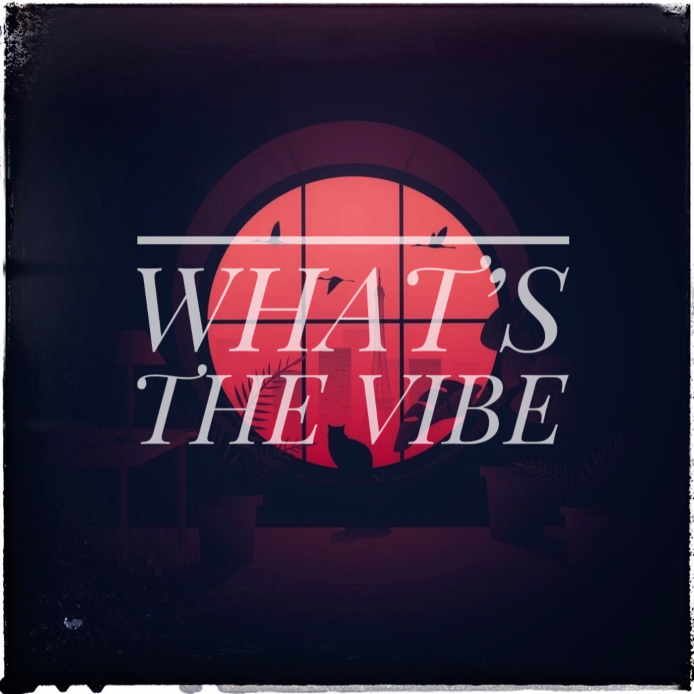 What's the Vibe