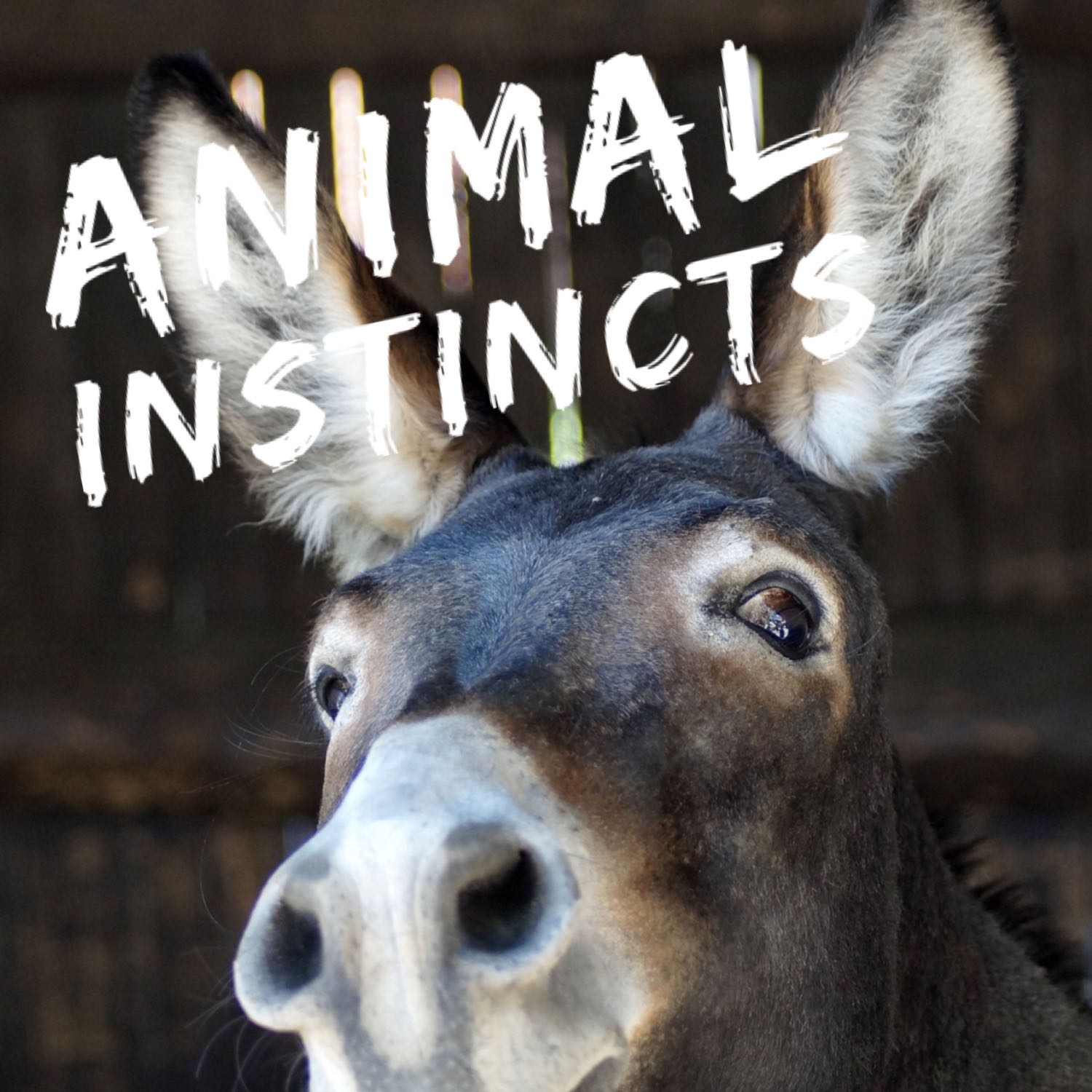 Animal Instincts